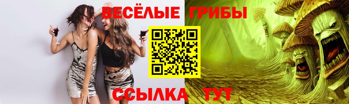 Добрянка  Галлюциногенные грибы GOLDEN TEACHER  где можно купить наркотик  Вход с VPN 